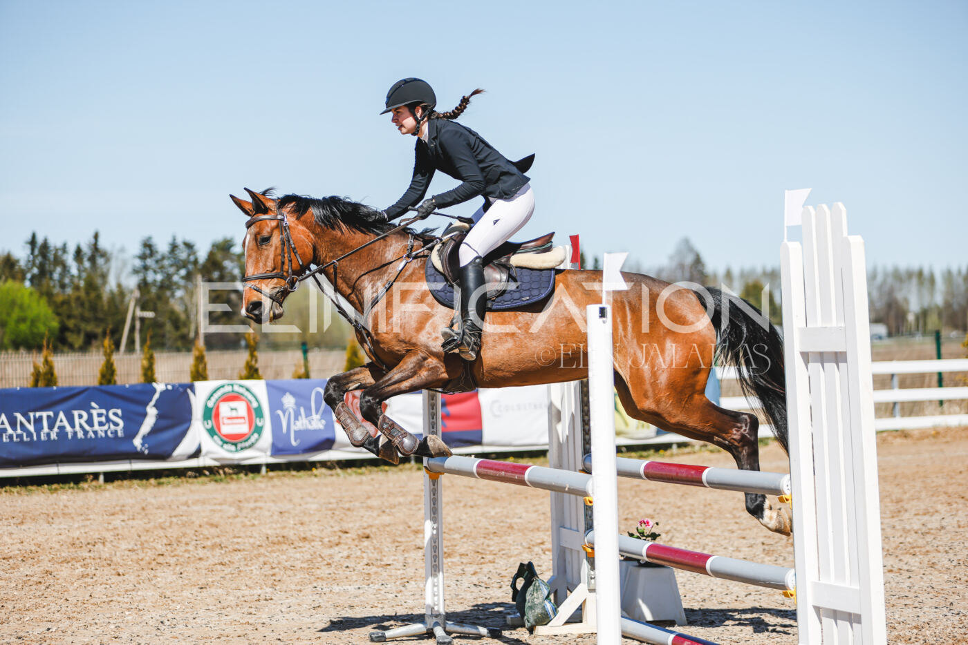 Gramina_Volber_2026_100_0116