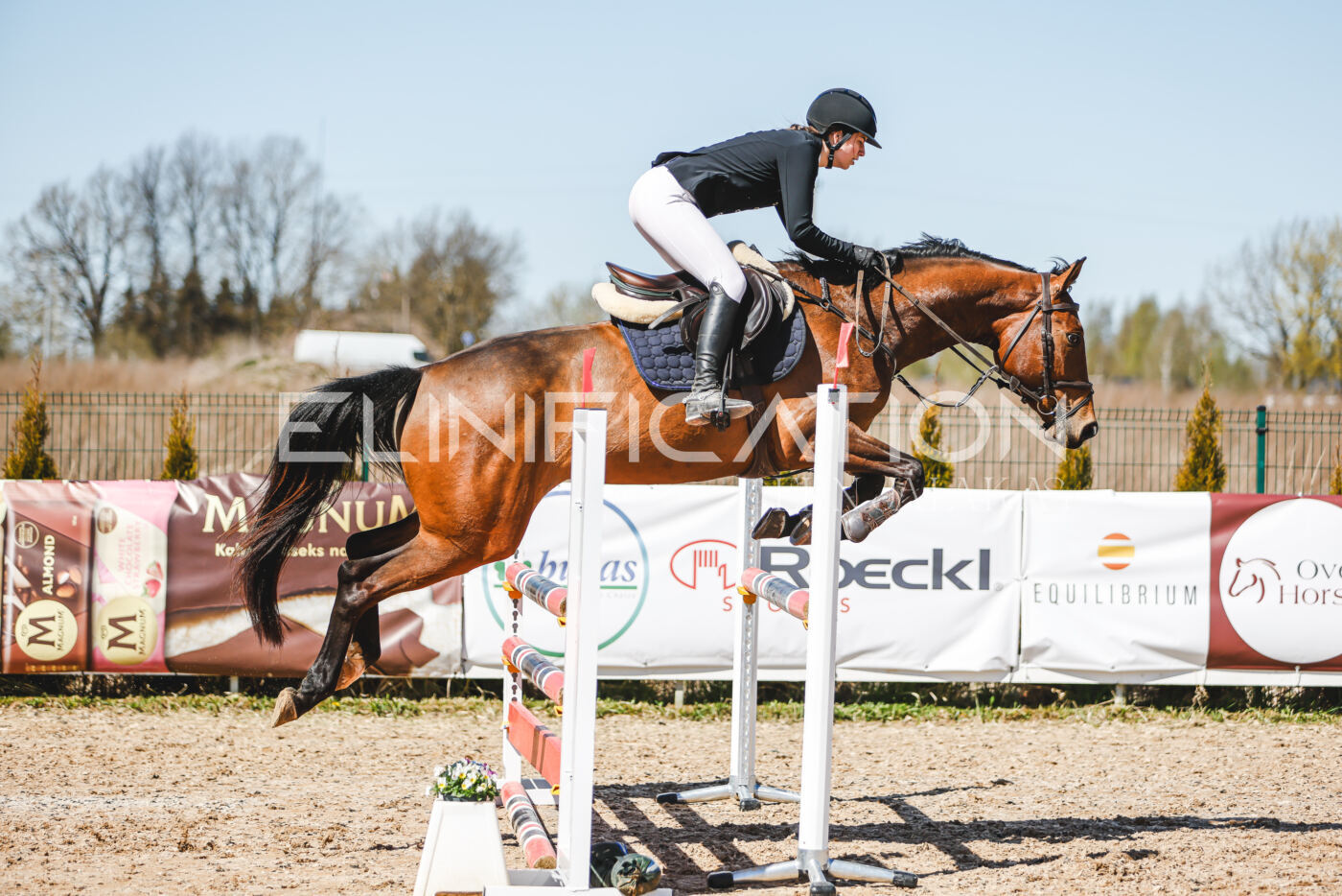 Gramina_Volber_2026_100_0121