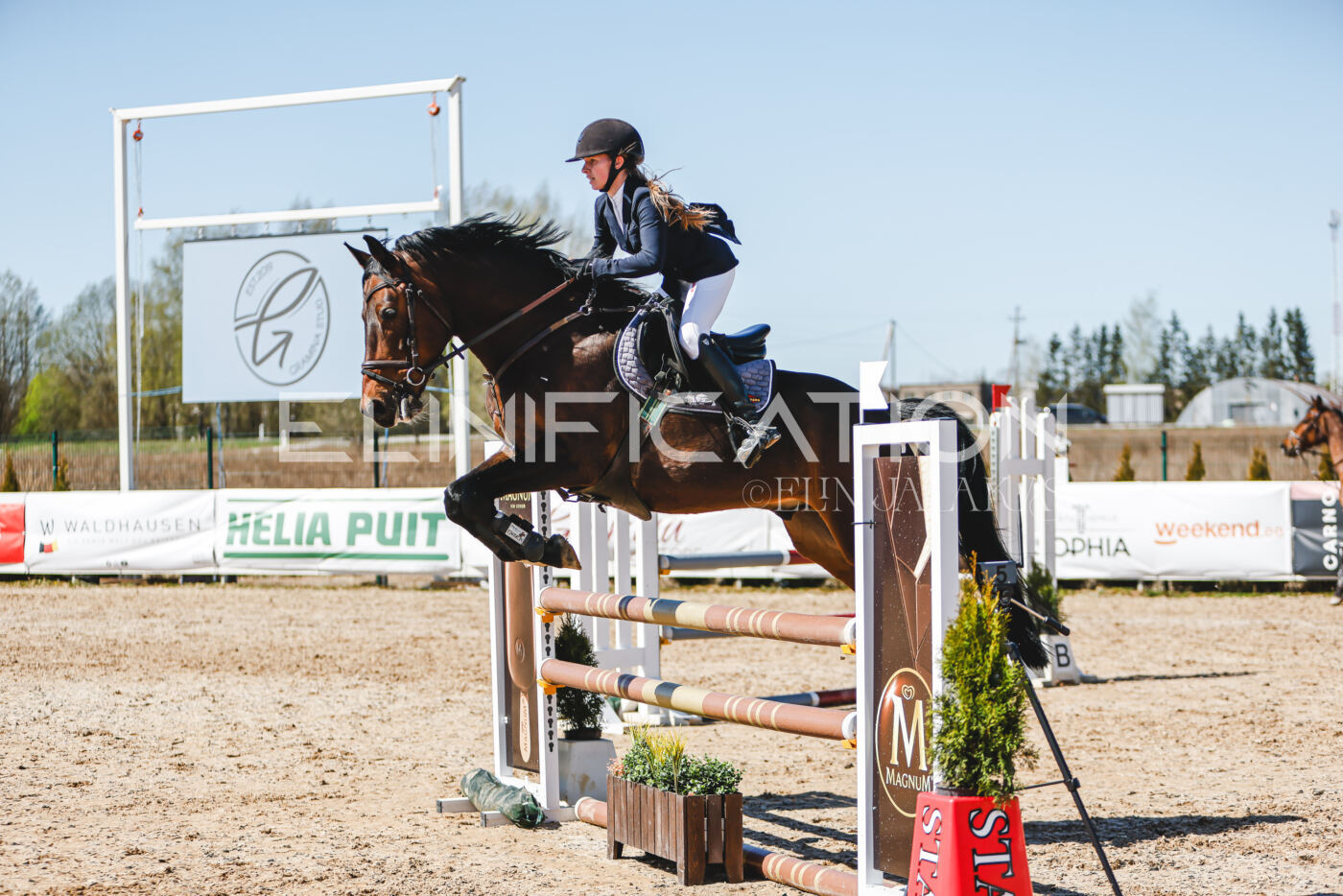 Gramina_Volber_2026_100_0131