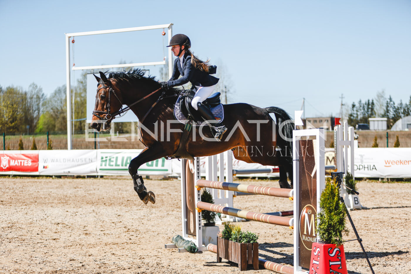 Gramina_Volber_2026_100_0133