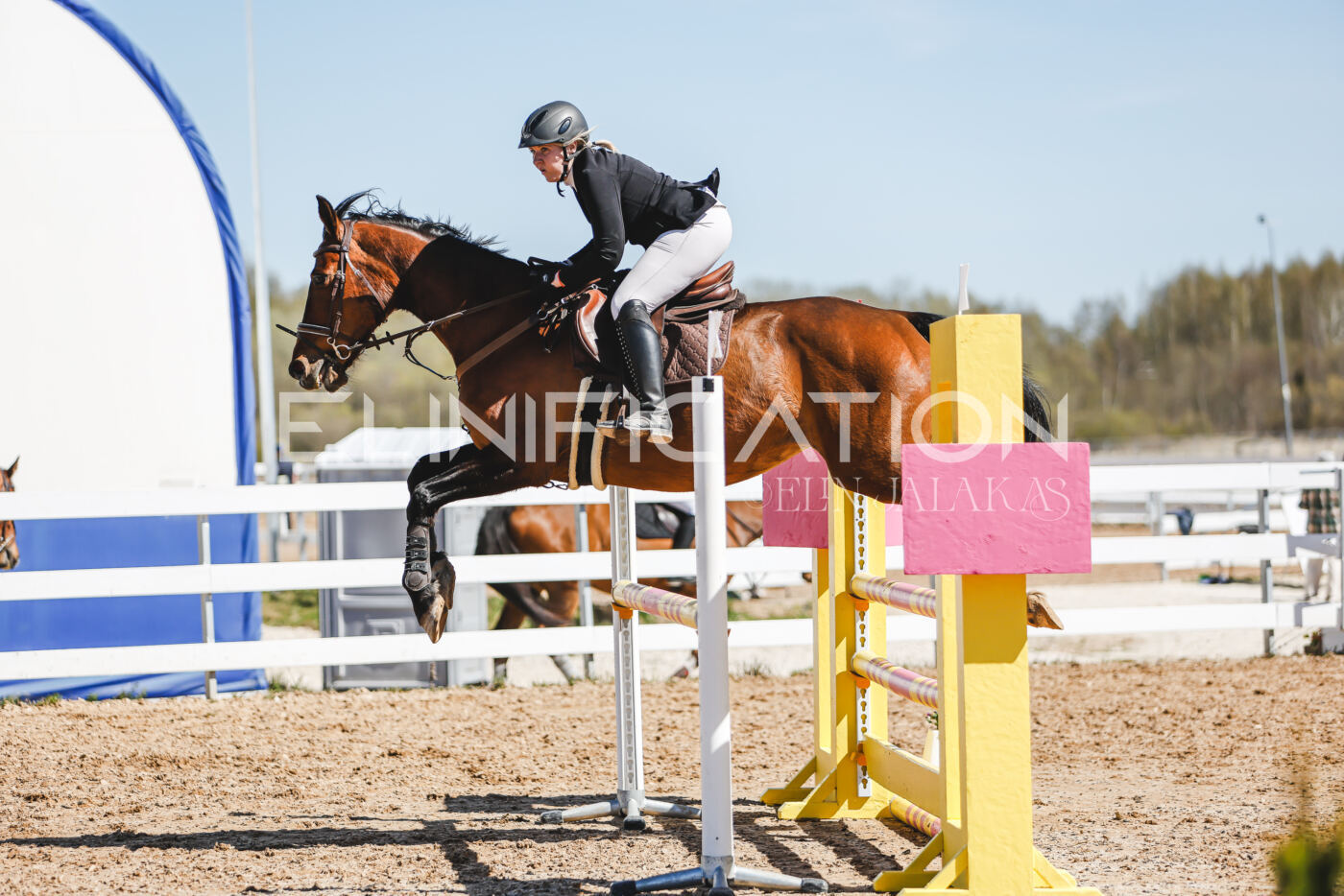 Gramina_Volber_2026_100_0151