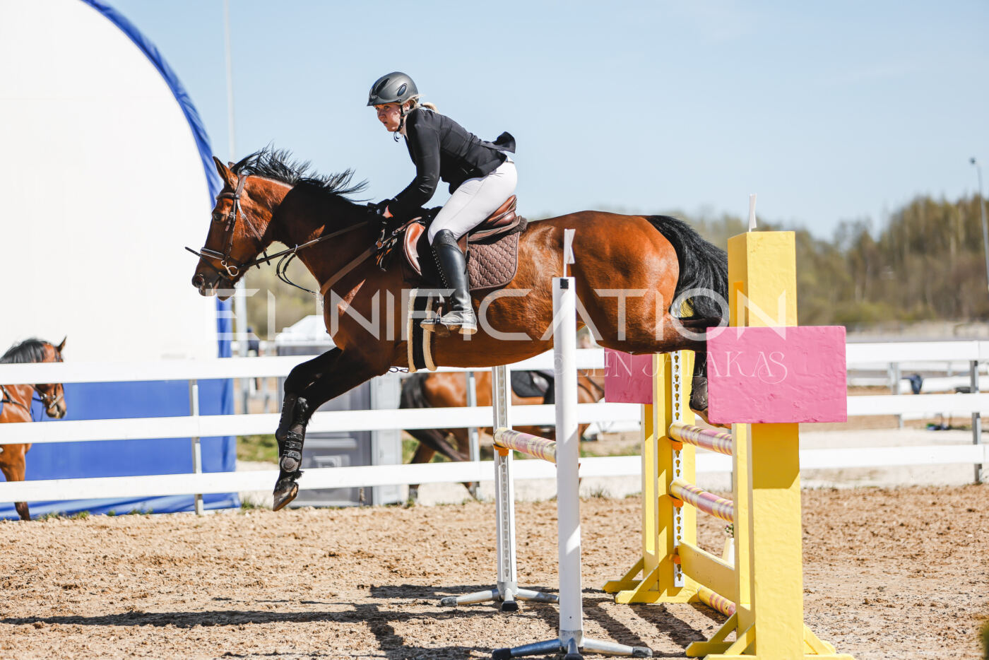 Gramina_Volber_2026_100_0152