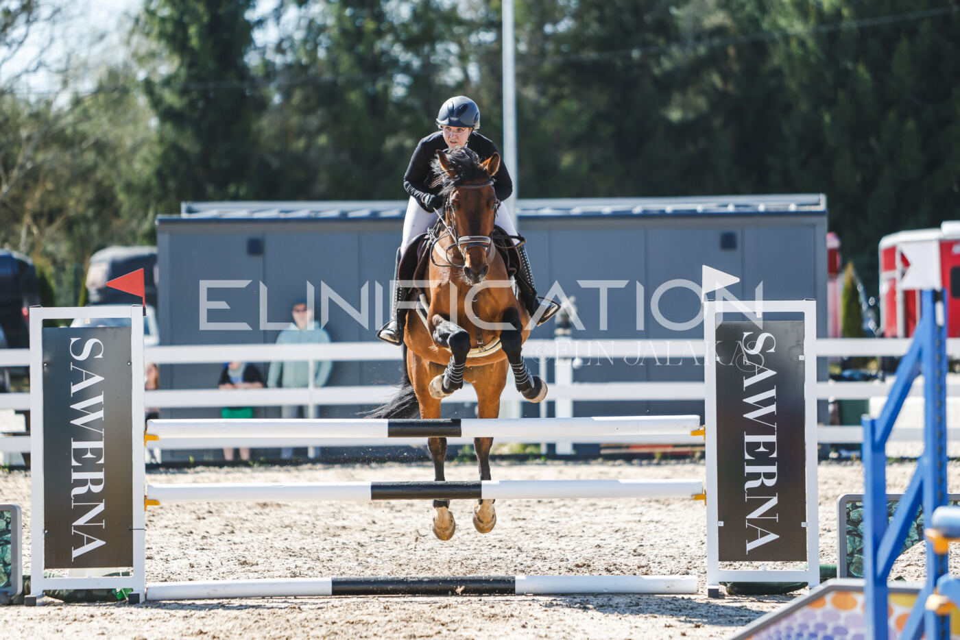 Gramina_Volber_2026_100_0158