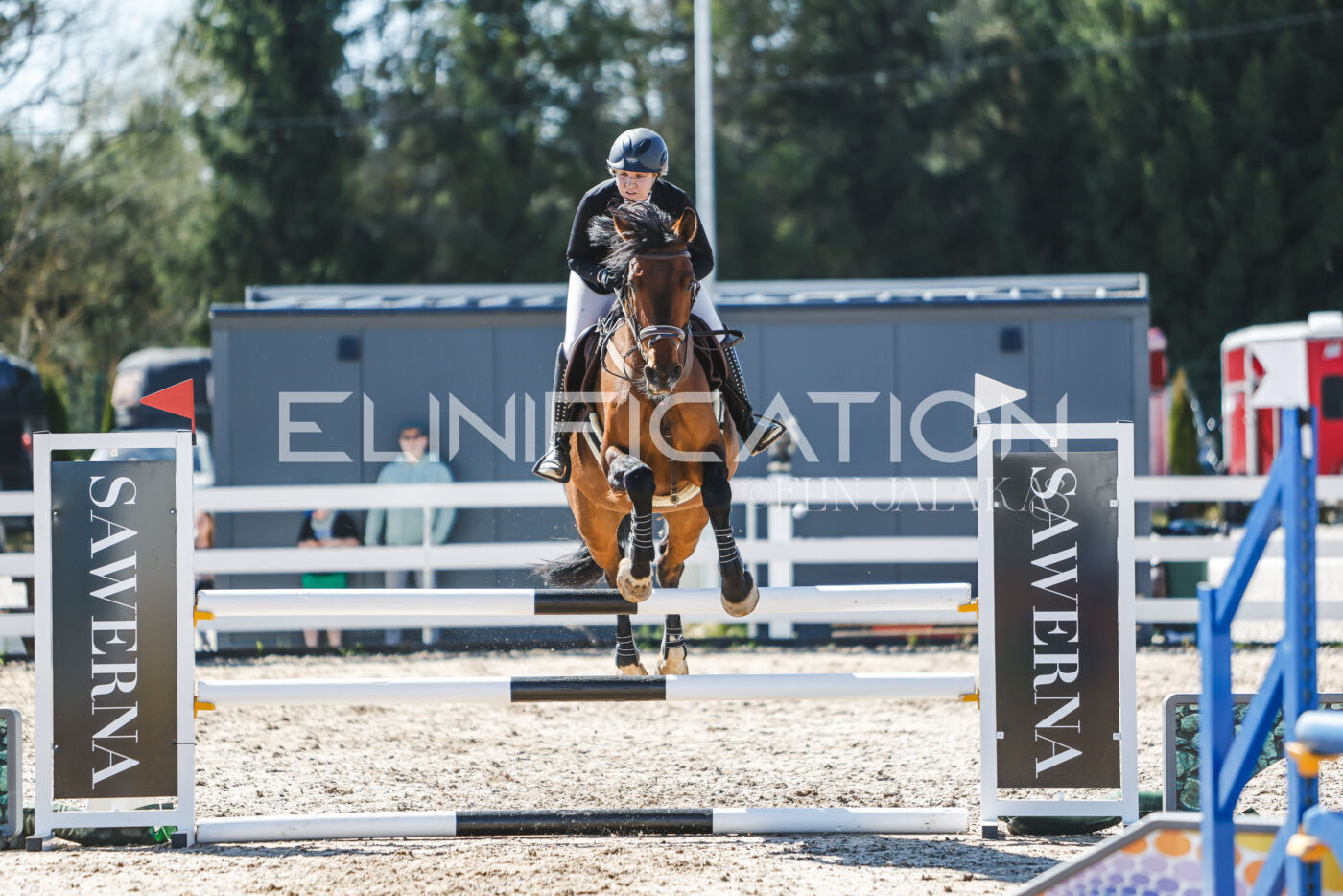 Gramina_Volber_2026_100_0159