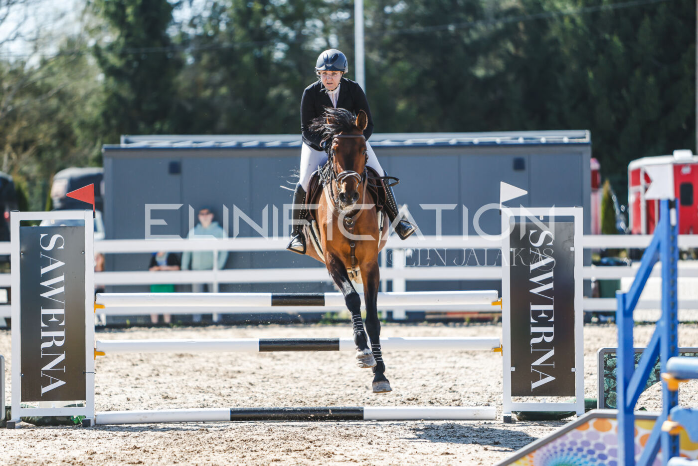 Gramina_Volber_2026_100_0162
