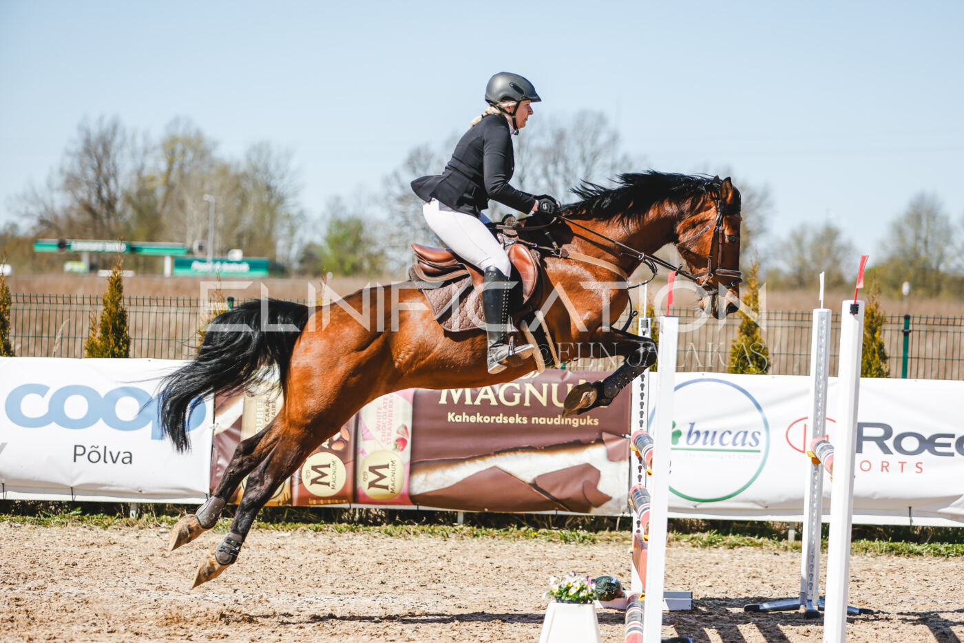 Gramina_Volber_2026_100_0169