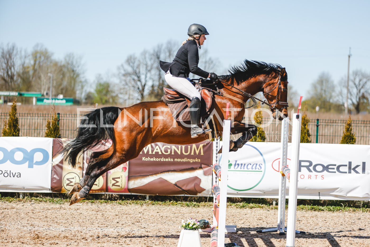 Gramina_Volber_2026_100_0170