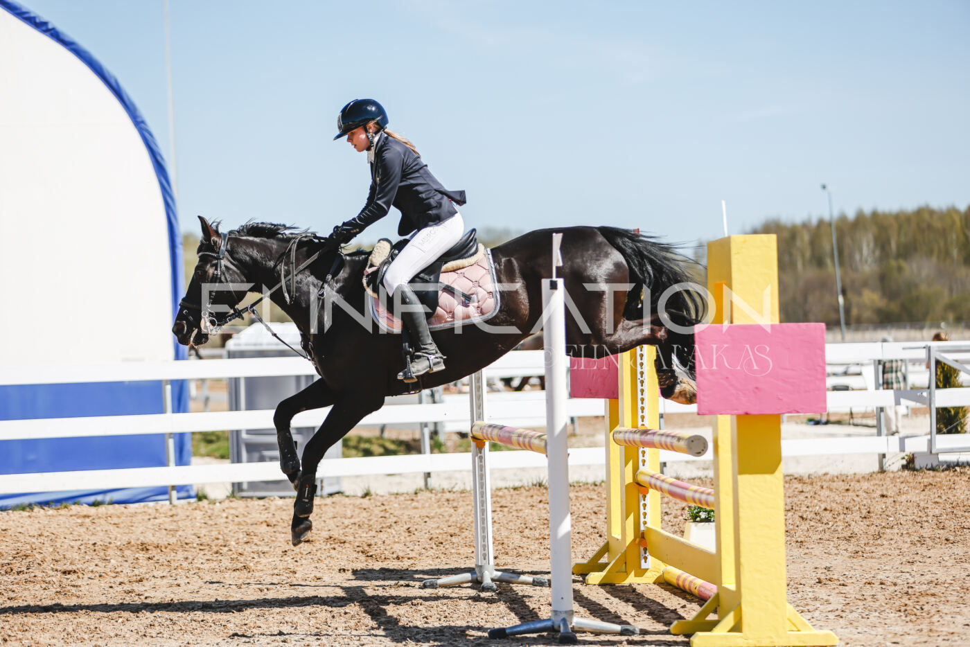 Gramina_Volber_2026_100_0178