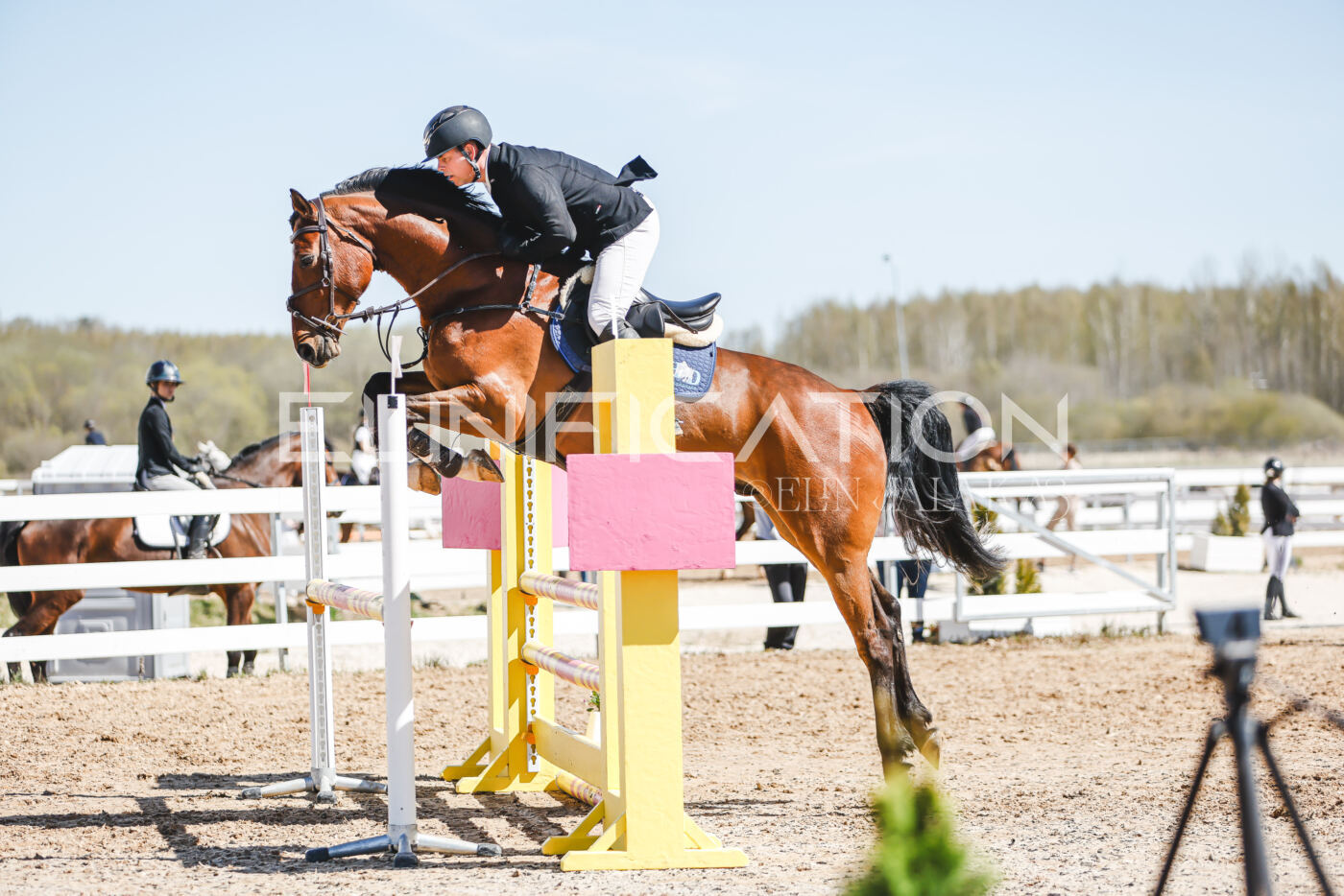 Gramina_Volber_2026_100_0201