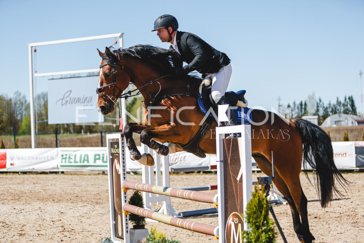 Gramina_Volber_2026_100_0206