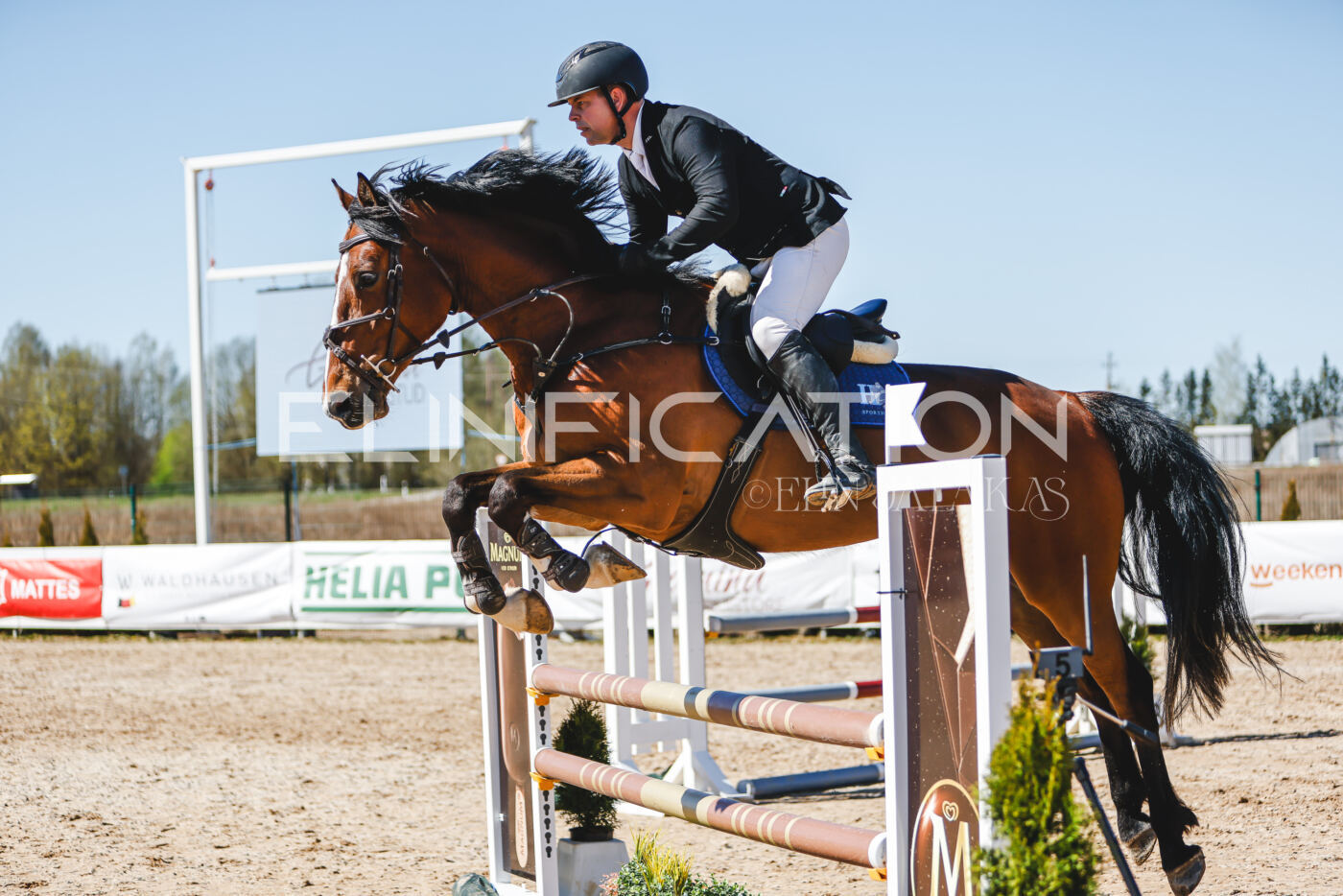 Gramina_Volber_2026_100_0207