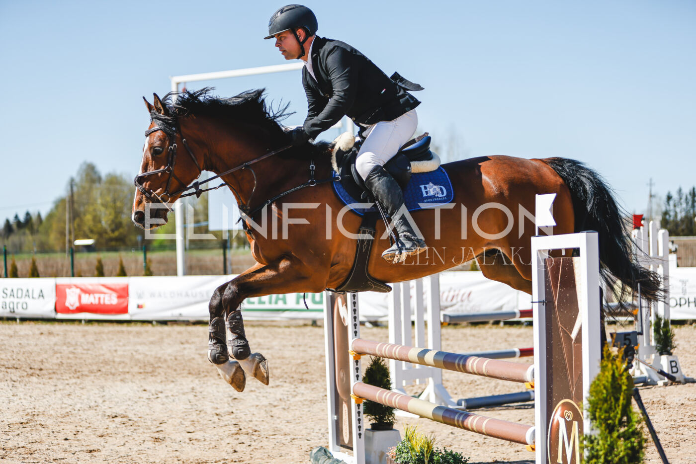 Gramina_Volber_2026_100_0209
