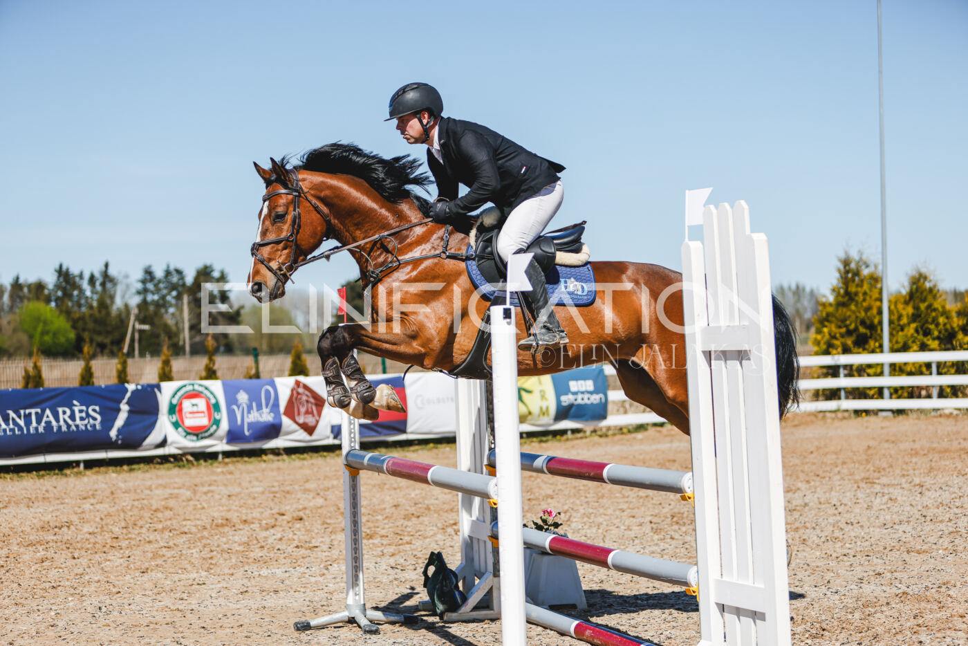 Gramina_Volber_2026_100_0215