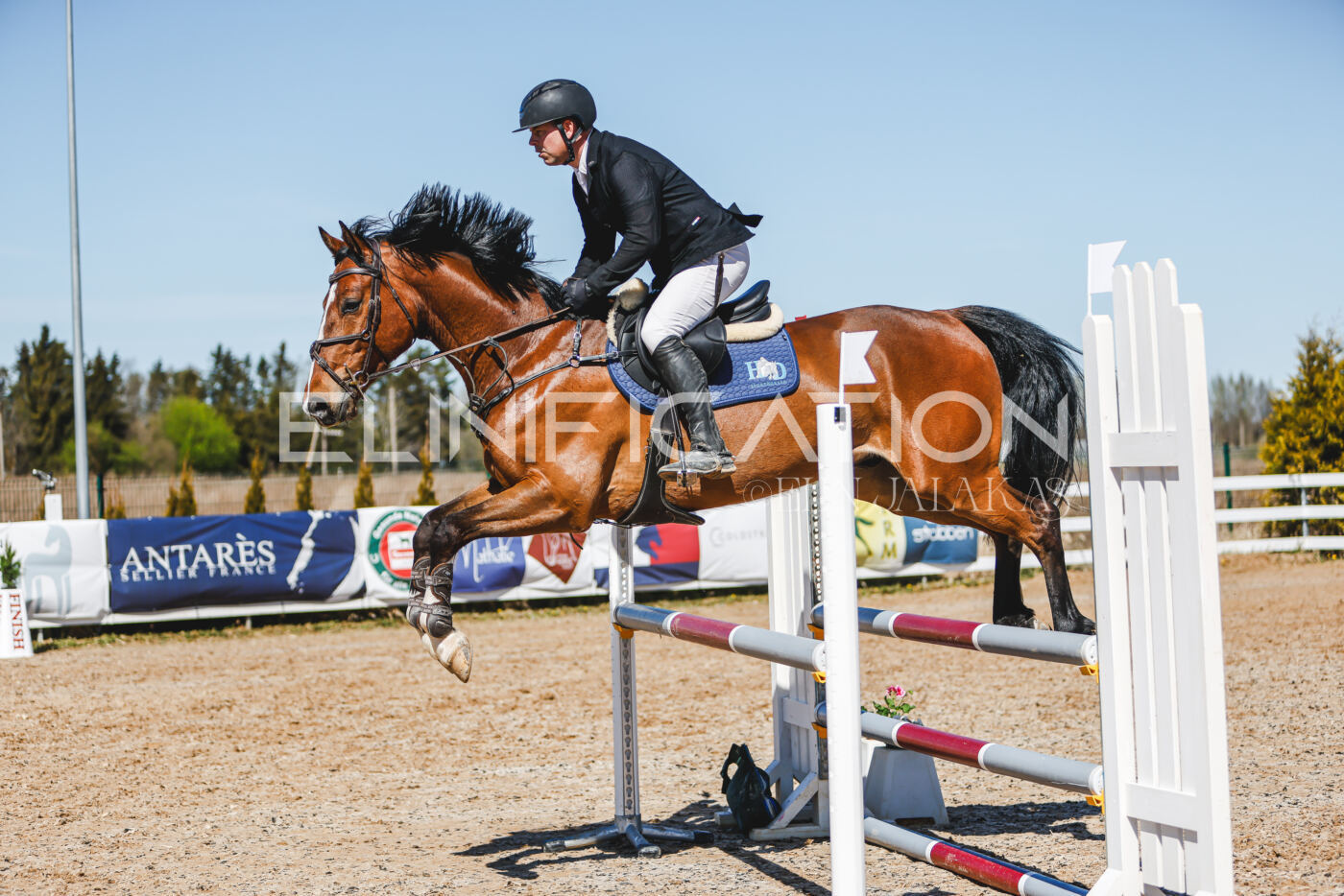 Gramina_Volber_2026_100_0217