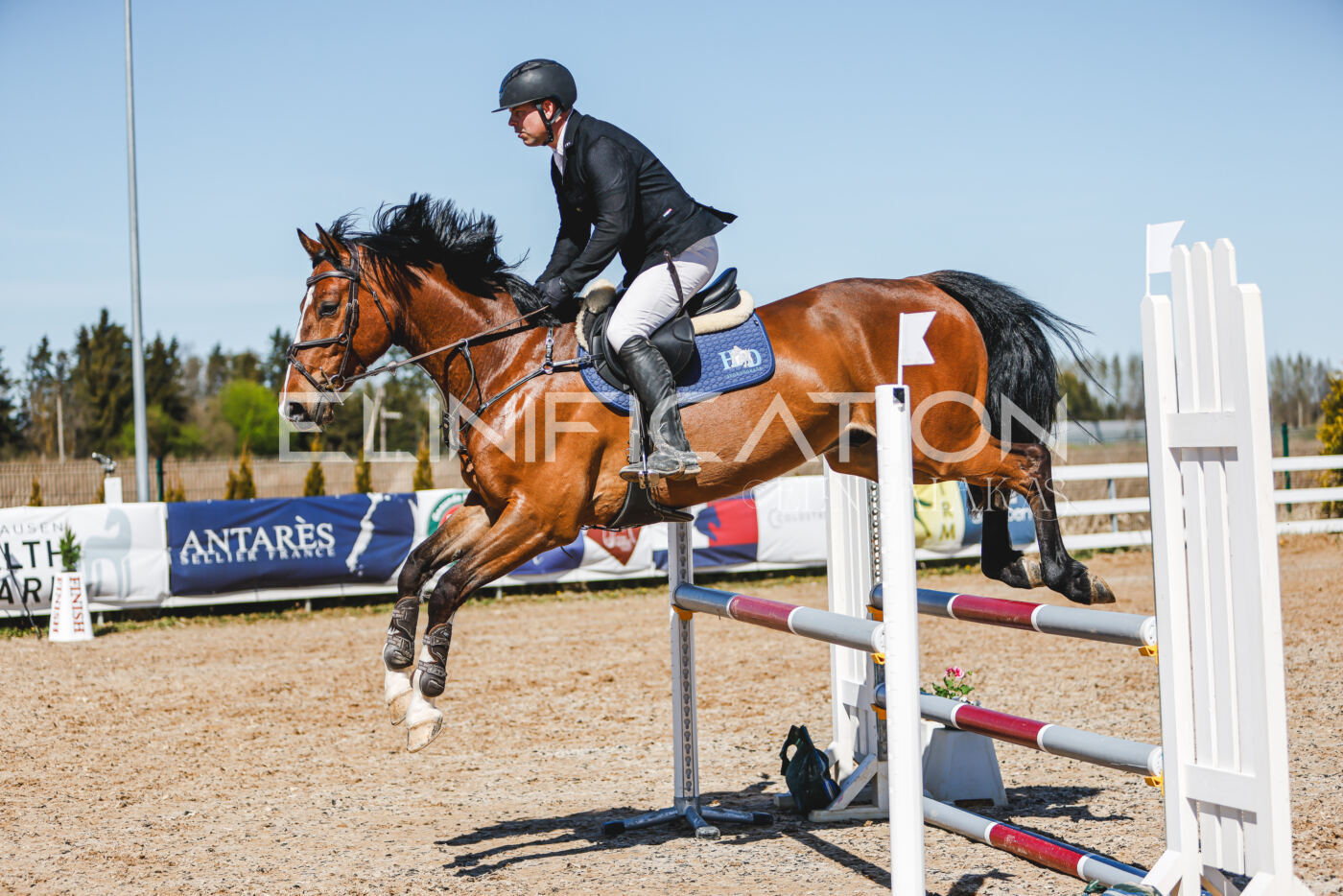 Gramina_Volber_2026_100_0218