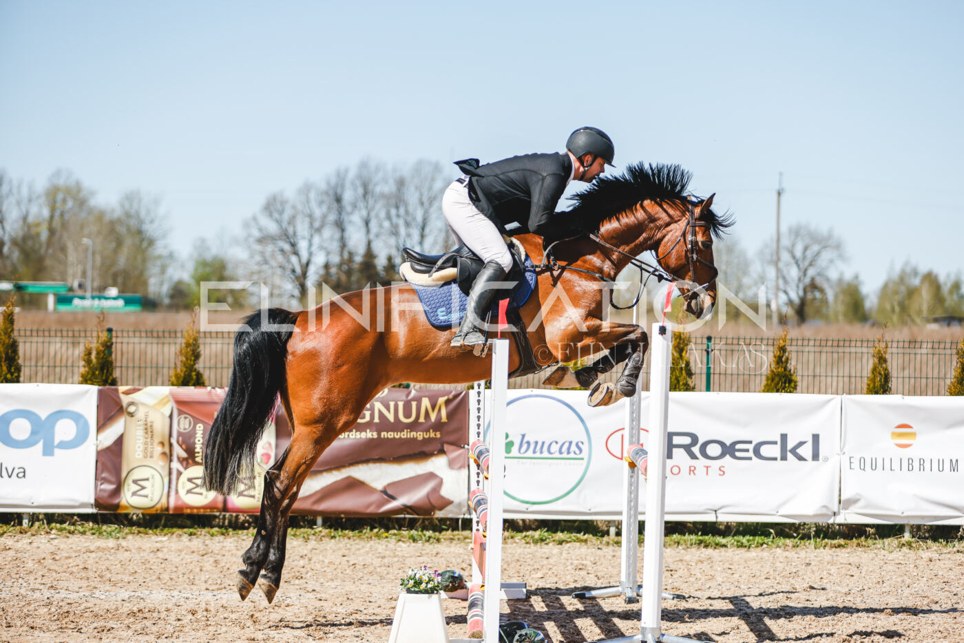 Gramina_Volber_2026_100_0223
