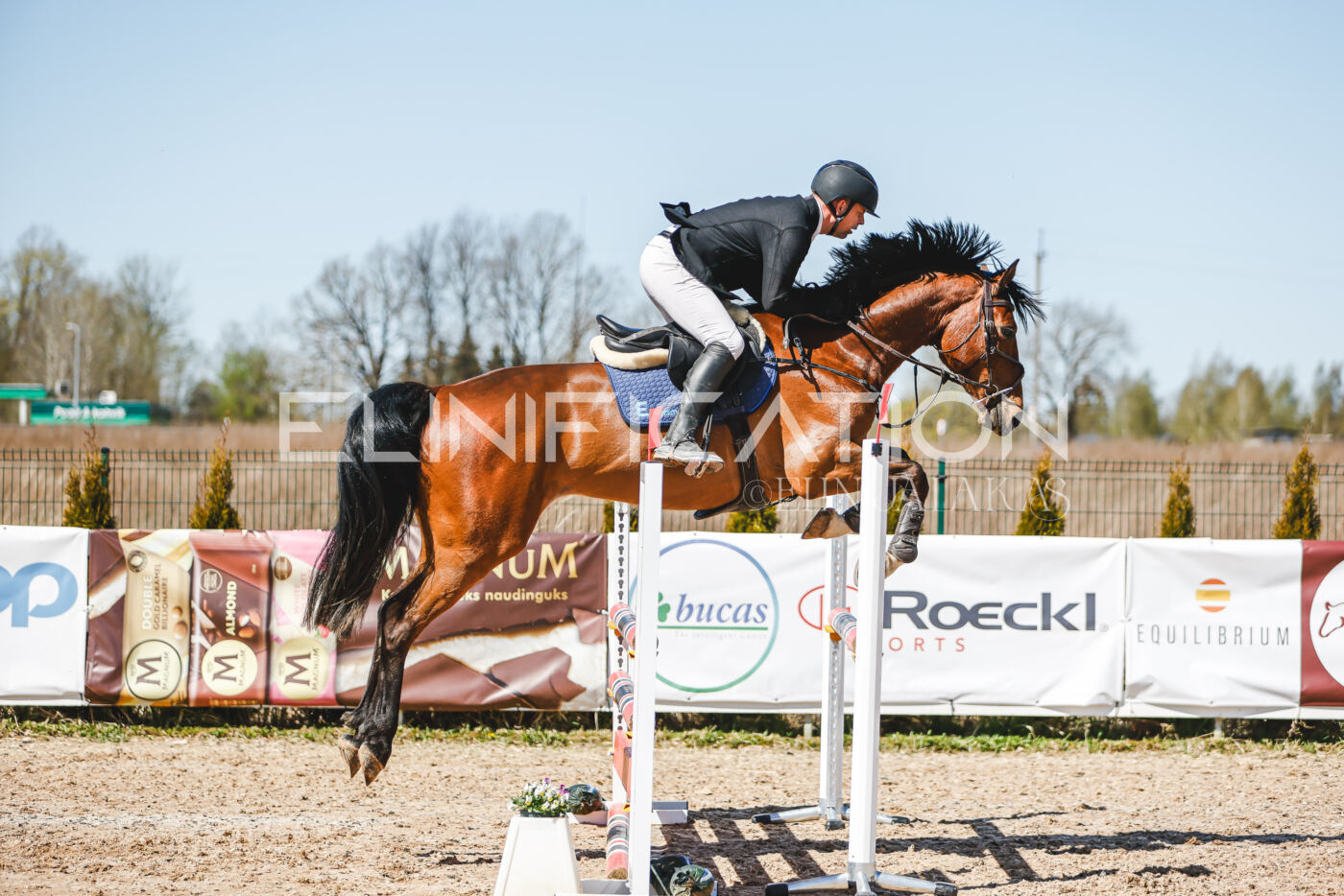 Gramina_Volber_2026_100_0224