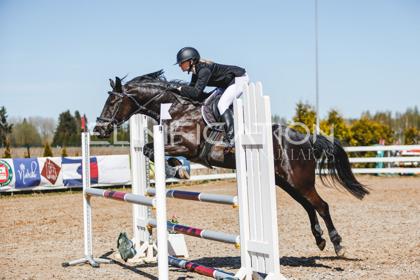 Gramina_Volber_2026_100_0237