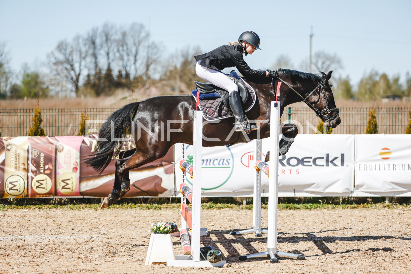 Gramina_Volber_2026_100_0246