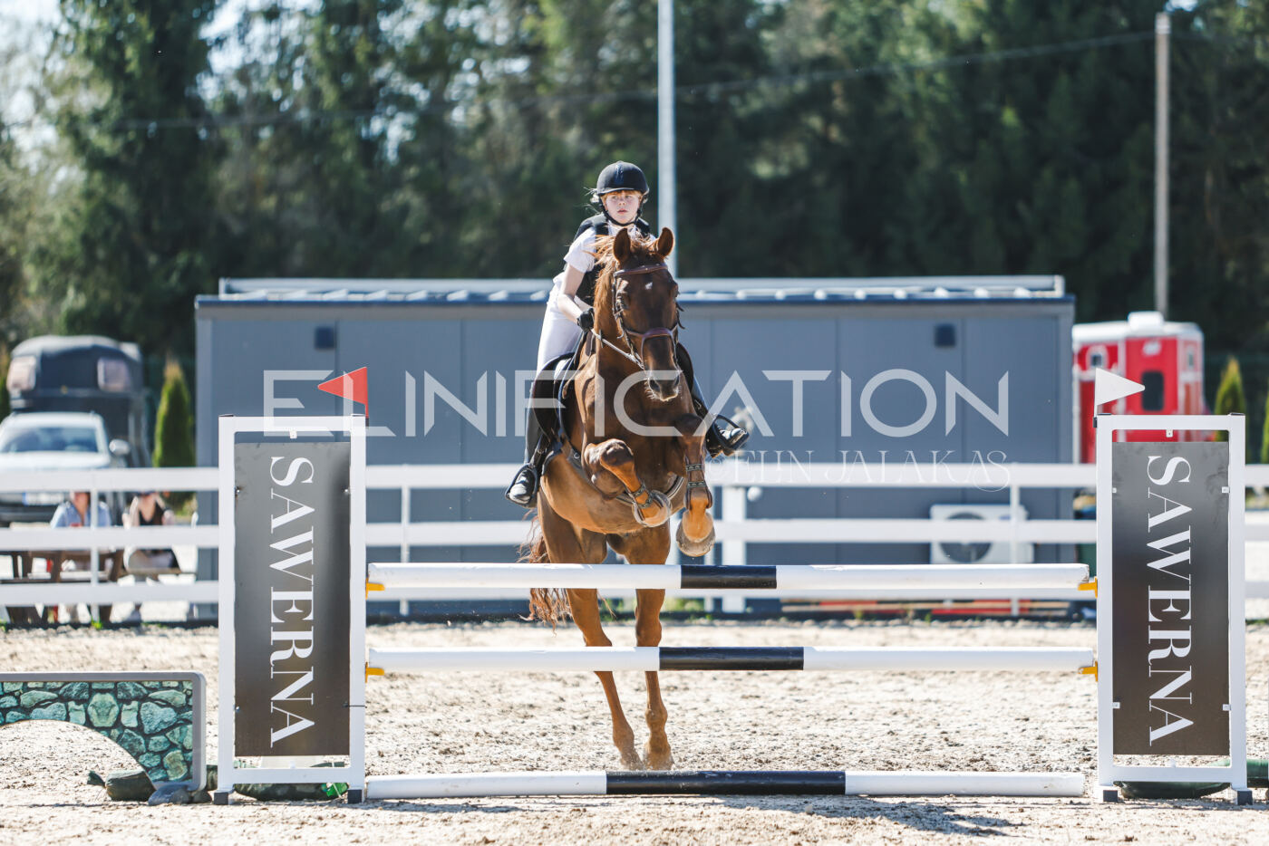 Gramina_Volber_2026_100_0259