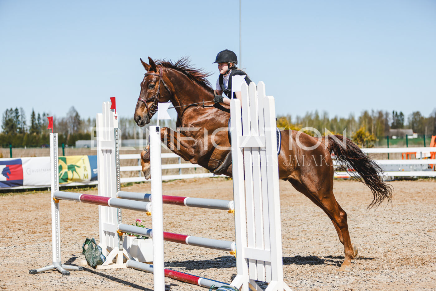 Gramina_Volber_2026_100_0262
