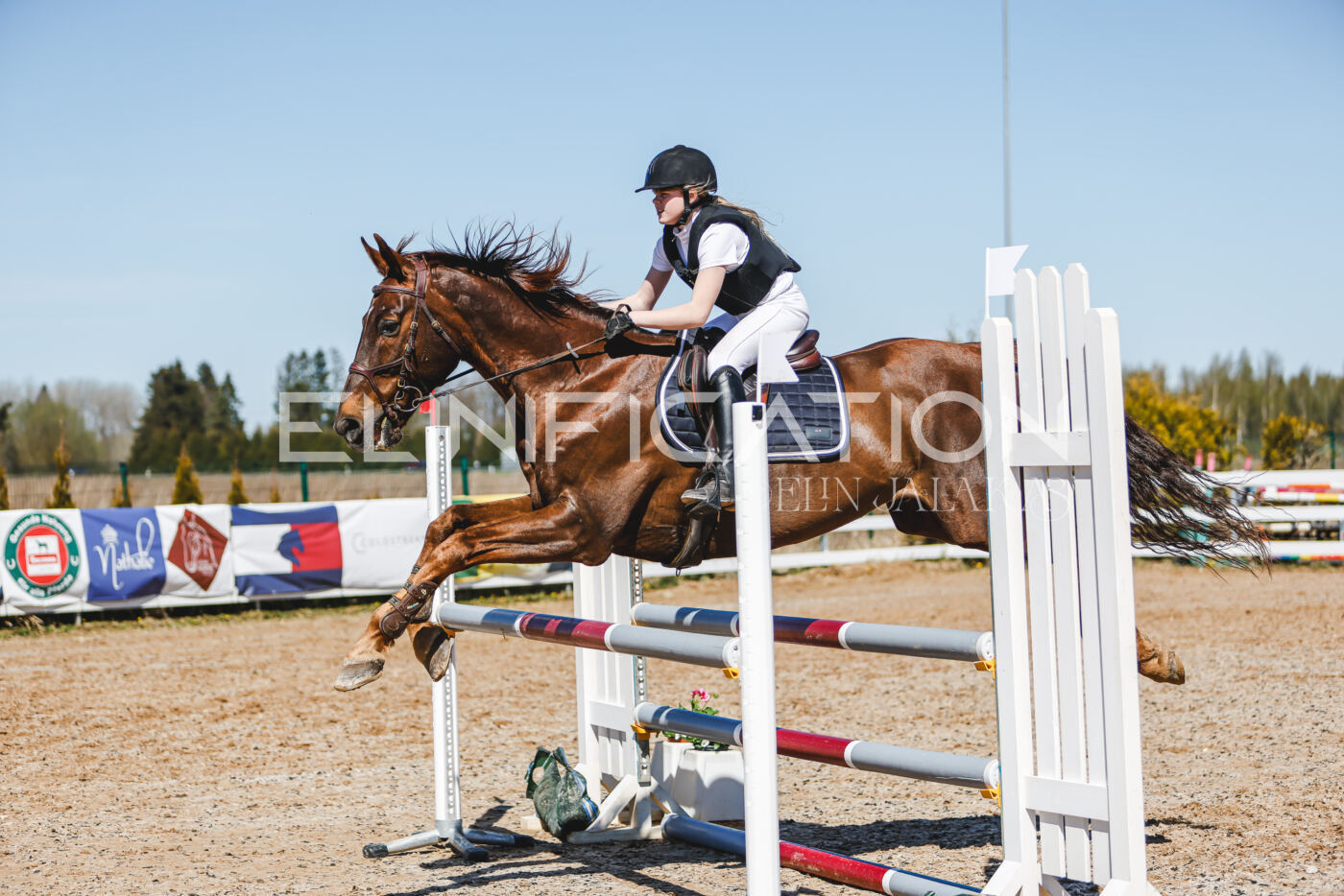 Gramina_Volber_2026_100_0265