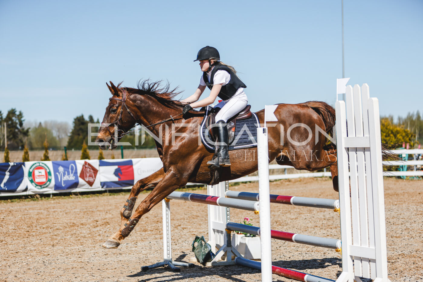 Gramina_Volber_2026_100_0266