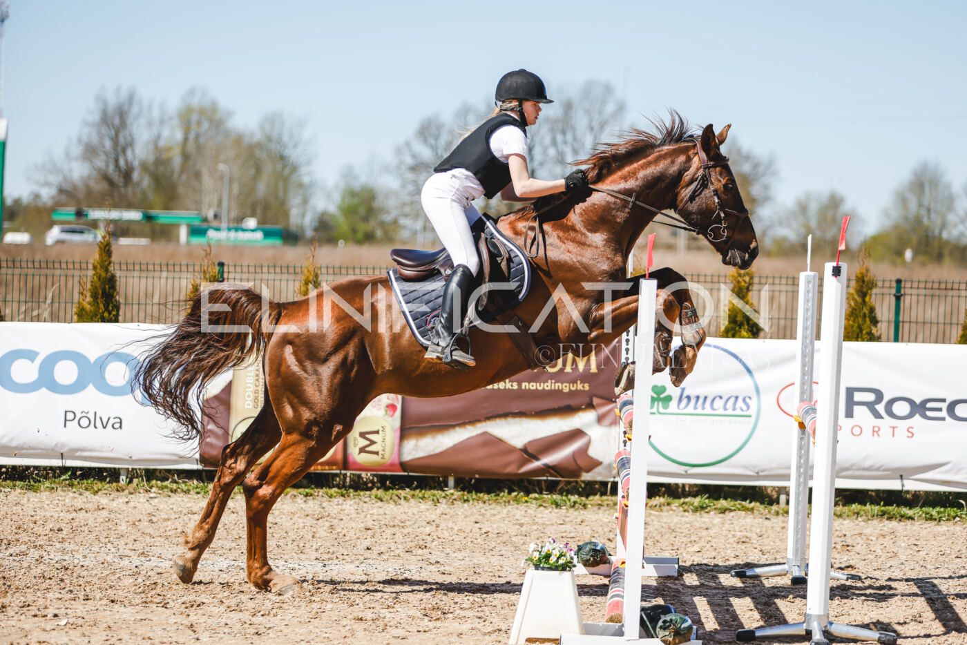 Gramina_Volber_2026_100_0268