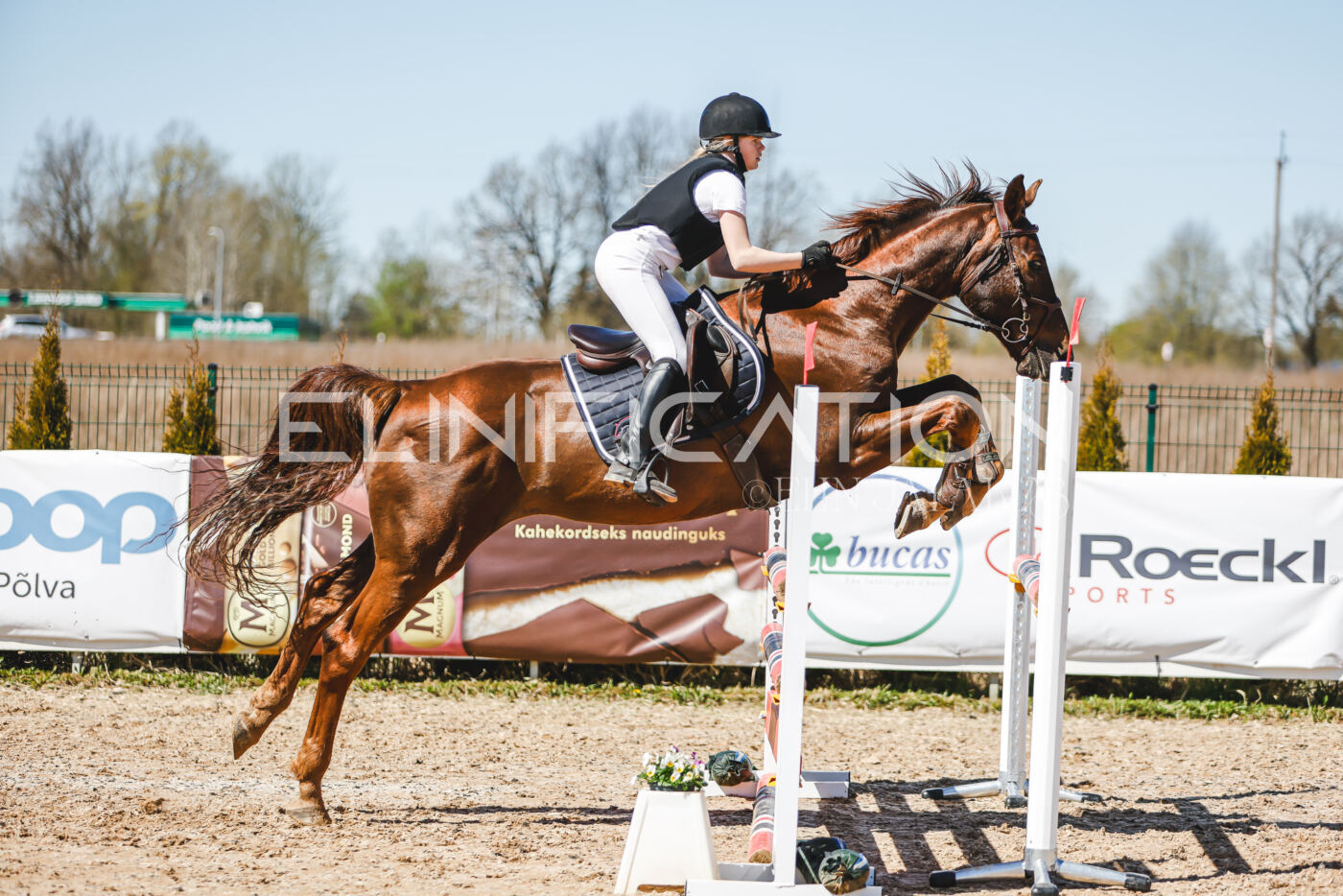 Gramina_Volber_2026_100_0269