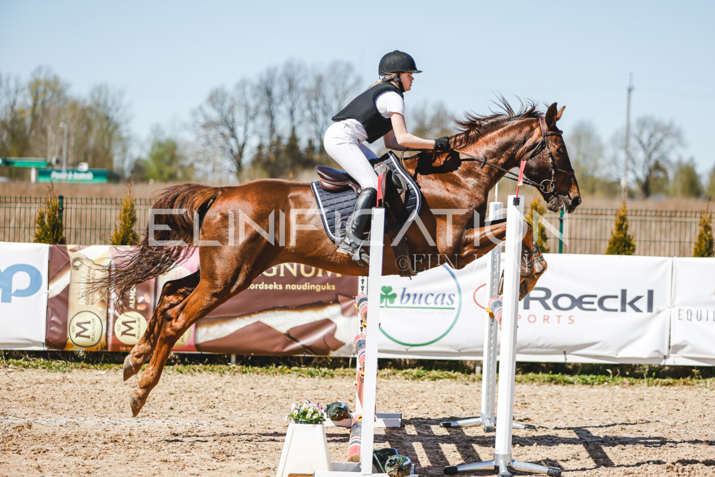 Gramina_Volber_2026_100_0270