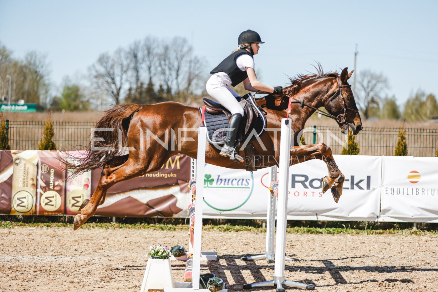 Gramina_Volber_2026_100_0271