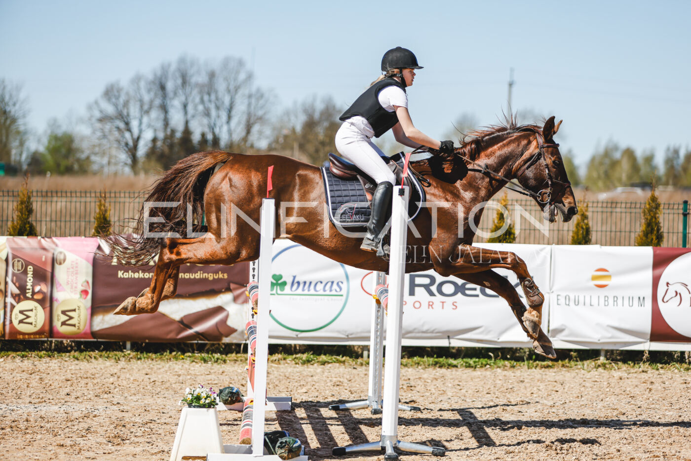 Gramina_Volber_2026_100_0272