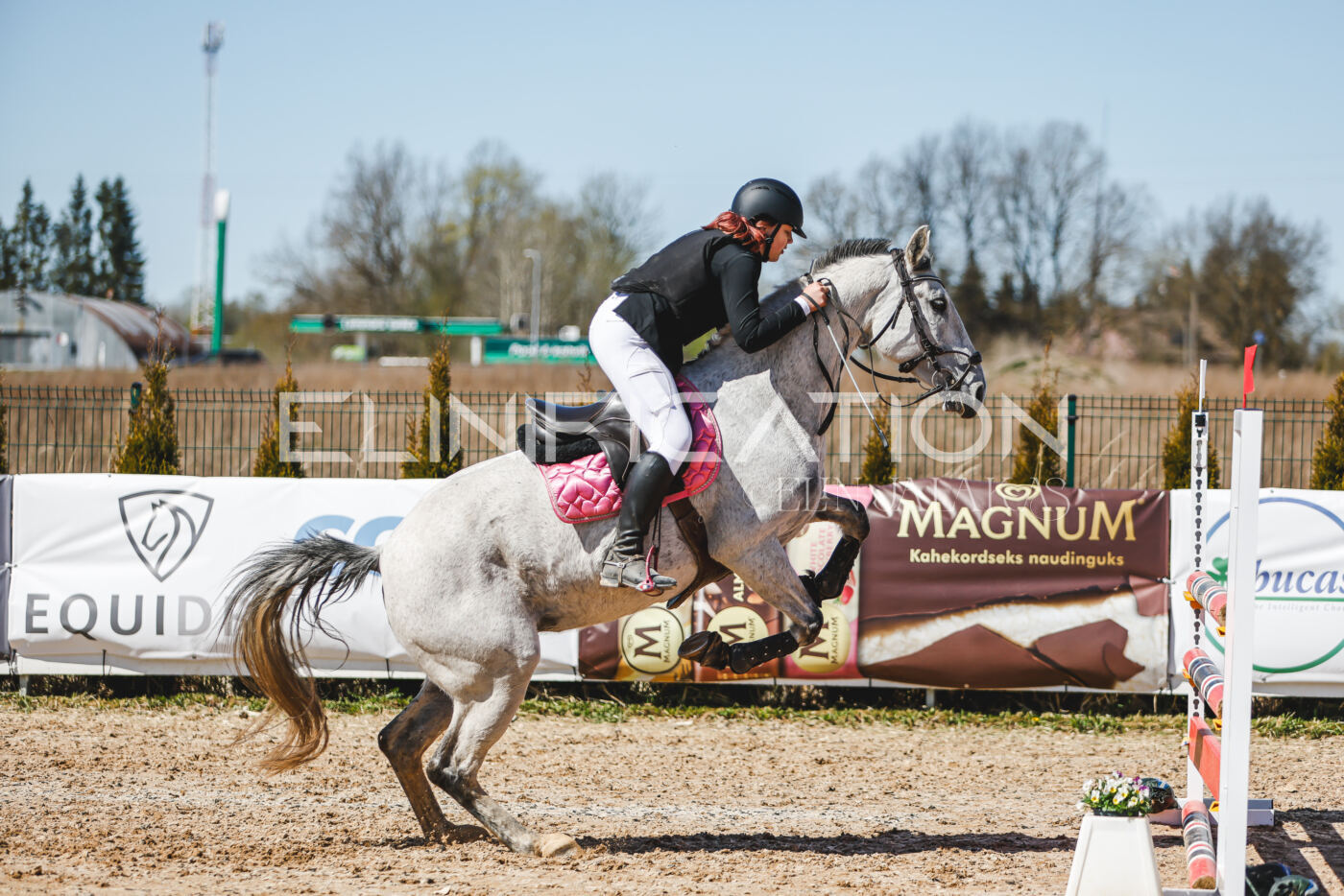 Gramina_Volber_2026_100_0308