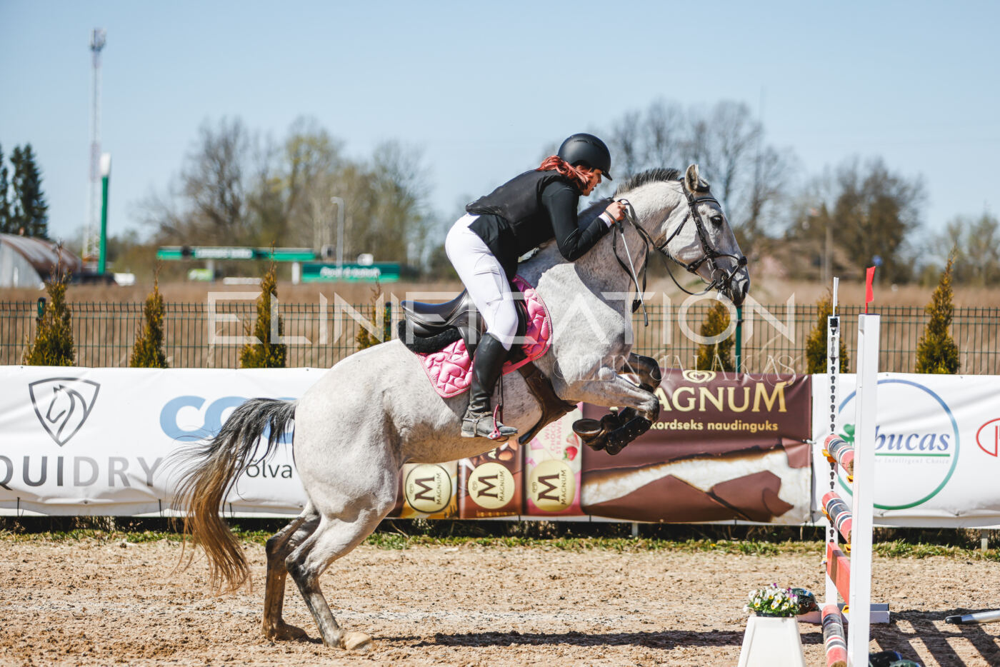 Gramina_Volber_2026_100_0309