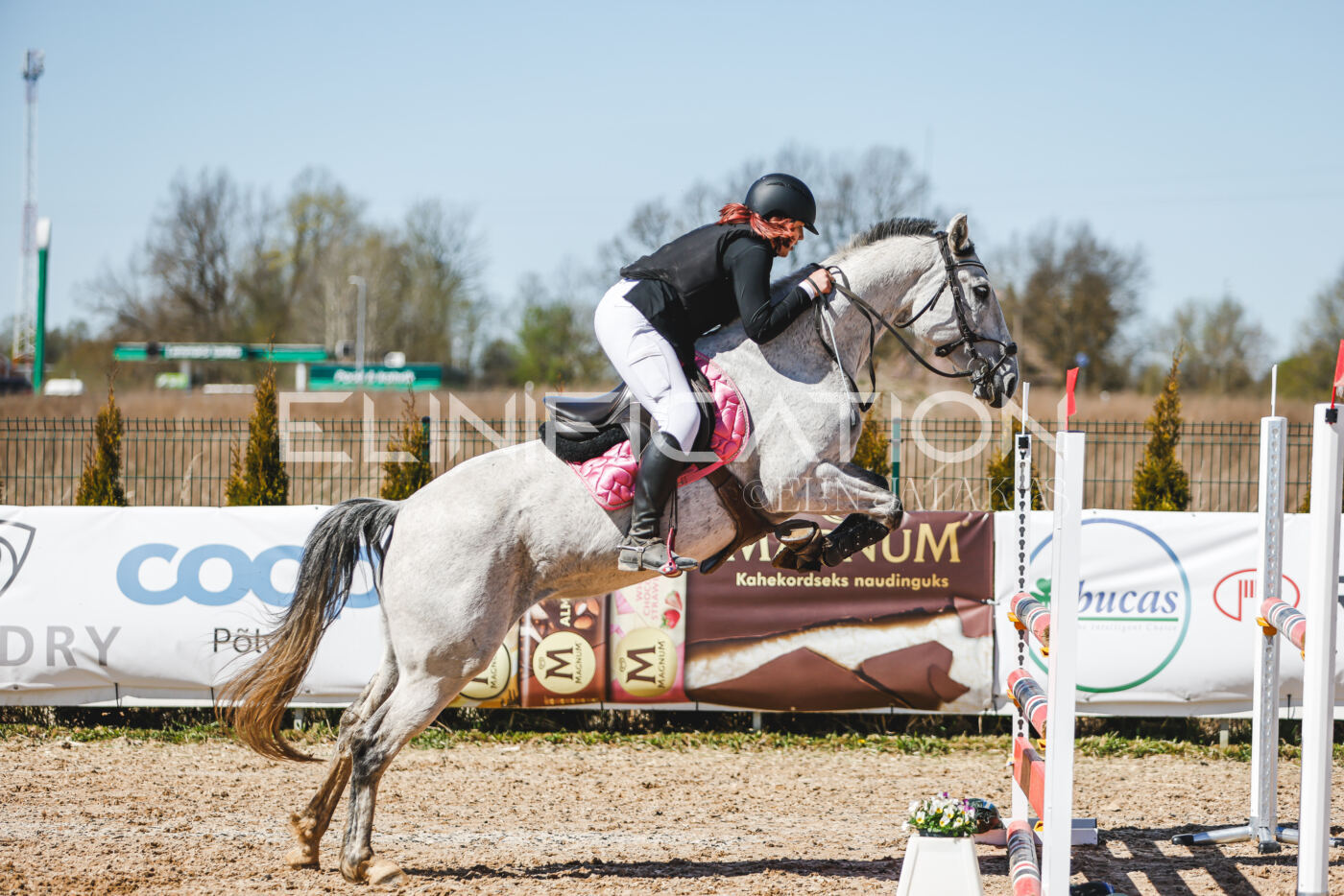 Gramina_Volber_2026_100_0310