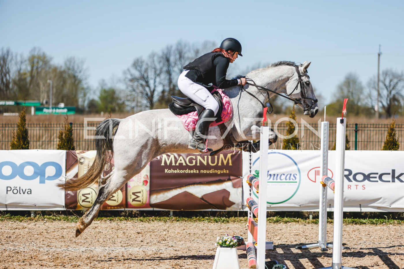 Gramina_Volber_2026_100_0312