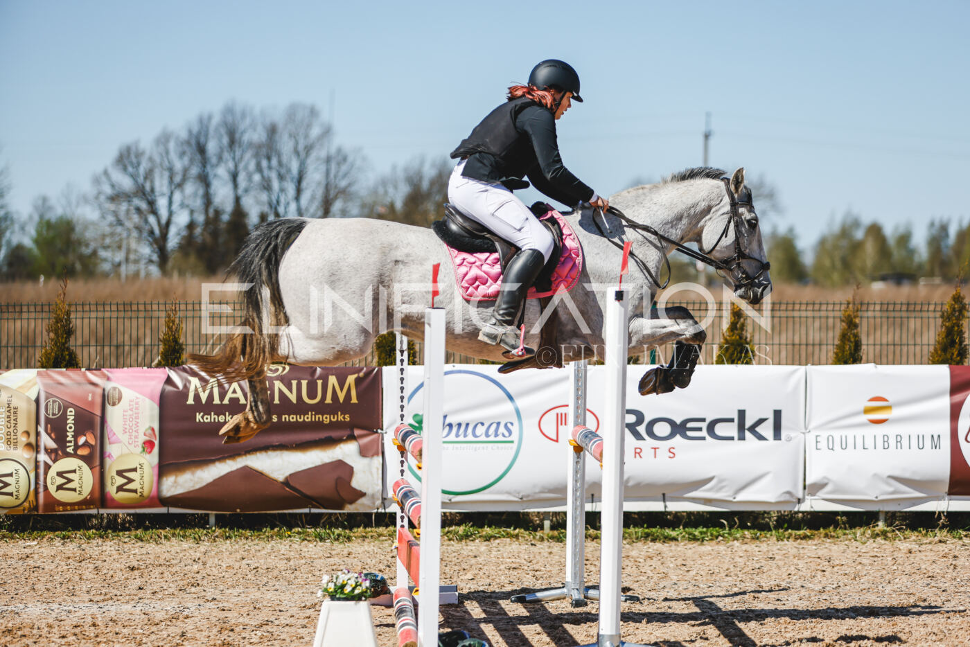 Gramina_Volber_2026_100_0315