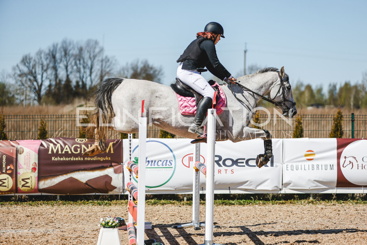 Gramina_Volber_2026_100_0316
