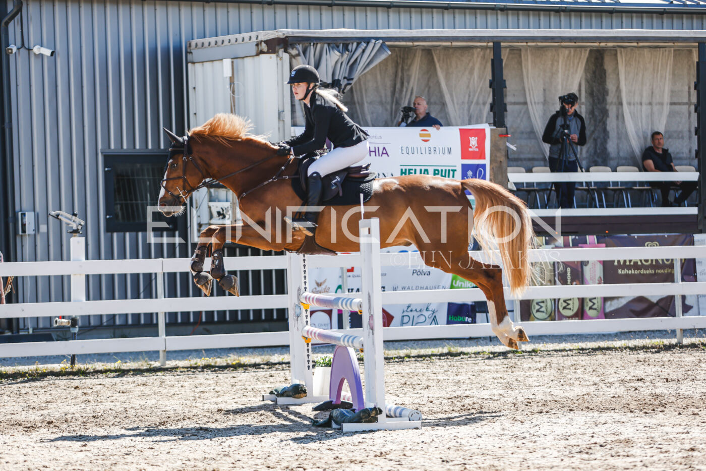 Gramina_Volber_2026_100_0319