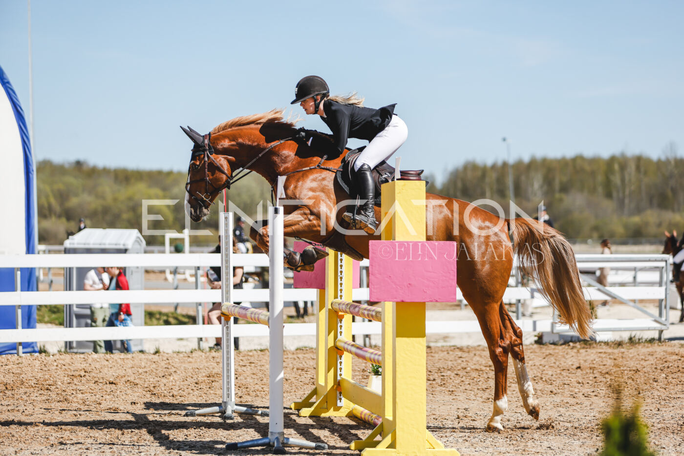 Gramina_Volber_2026_100_0323
