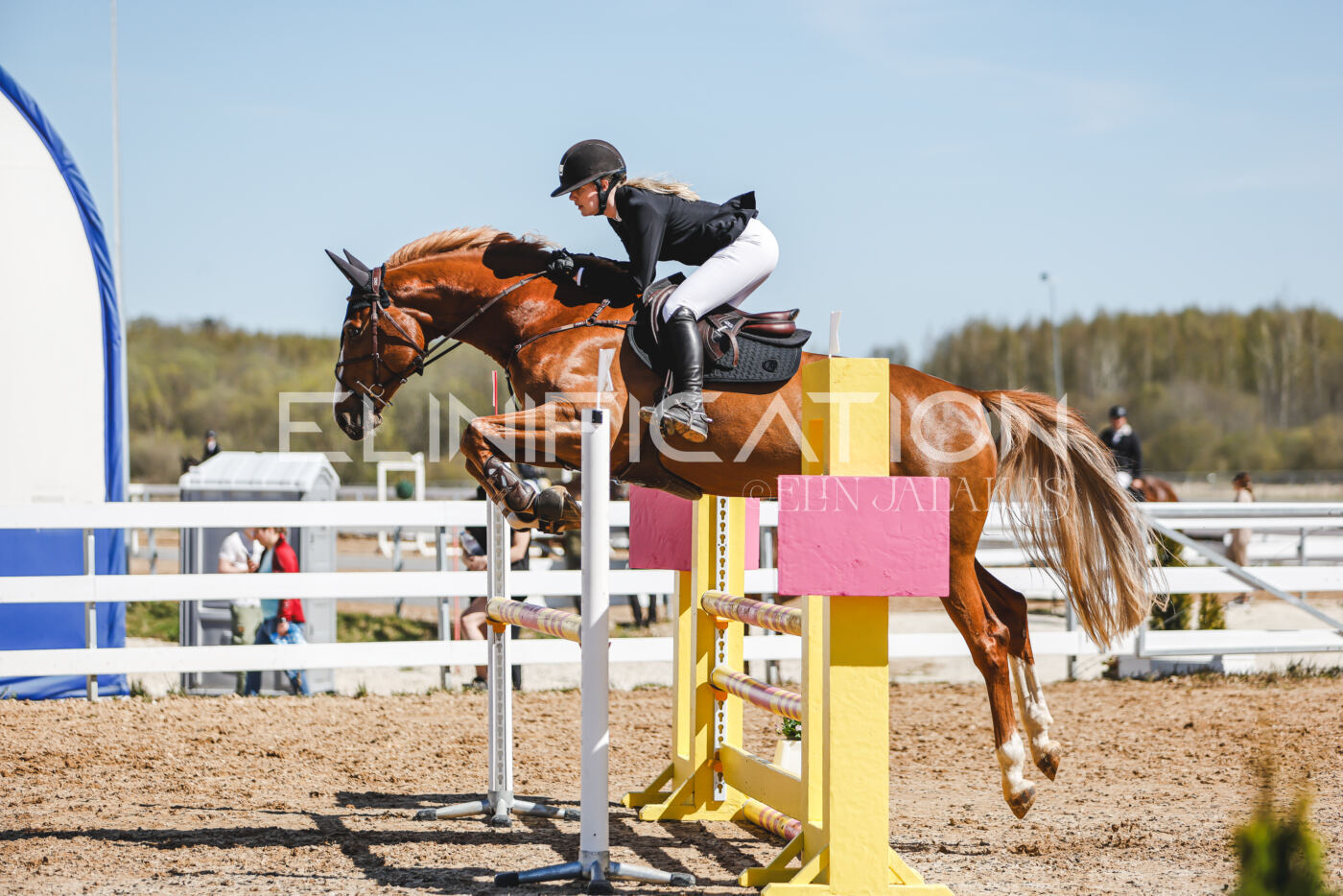 Gramina_Volber_2026_100_0324