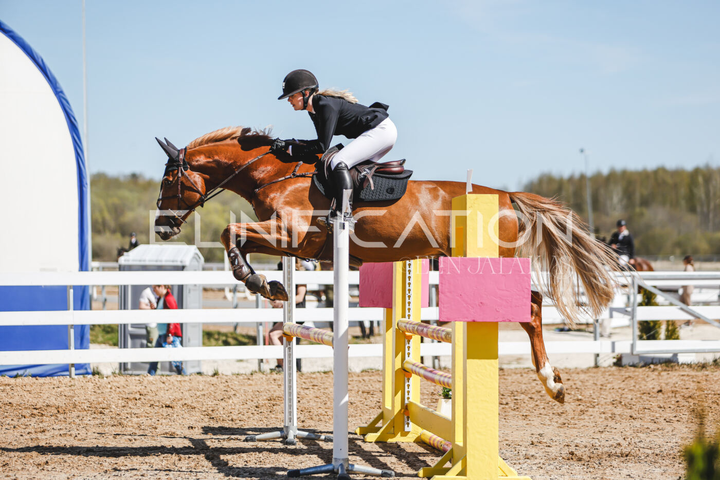 Gramina_Volber_2026_100_0325