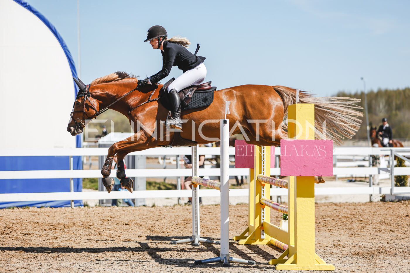 Gramina_Volber_2026_100_0327
