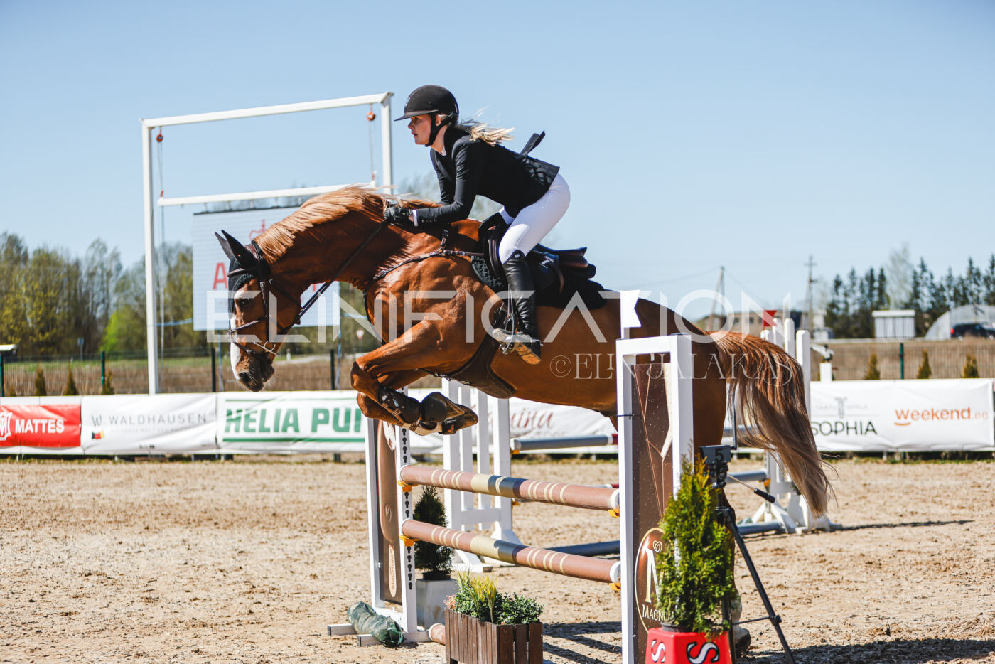 Gramina_Volber_2026_100_0328