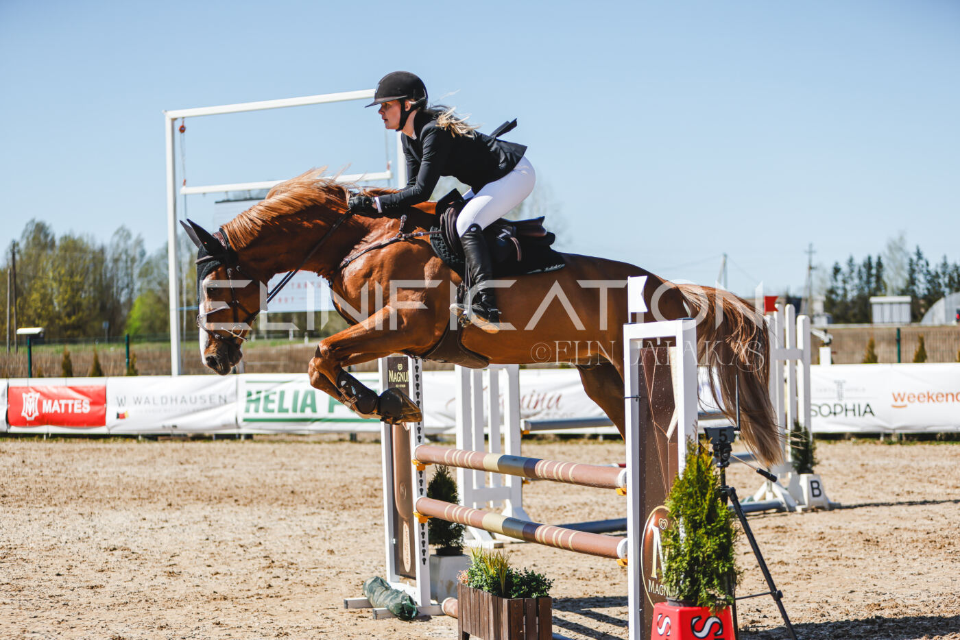 Gramina_Volber_2026_100_0329
