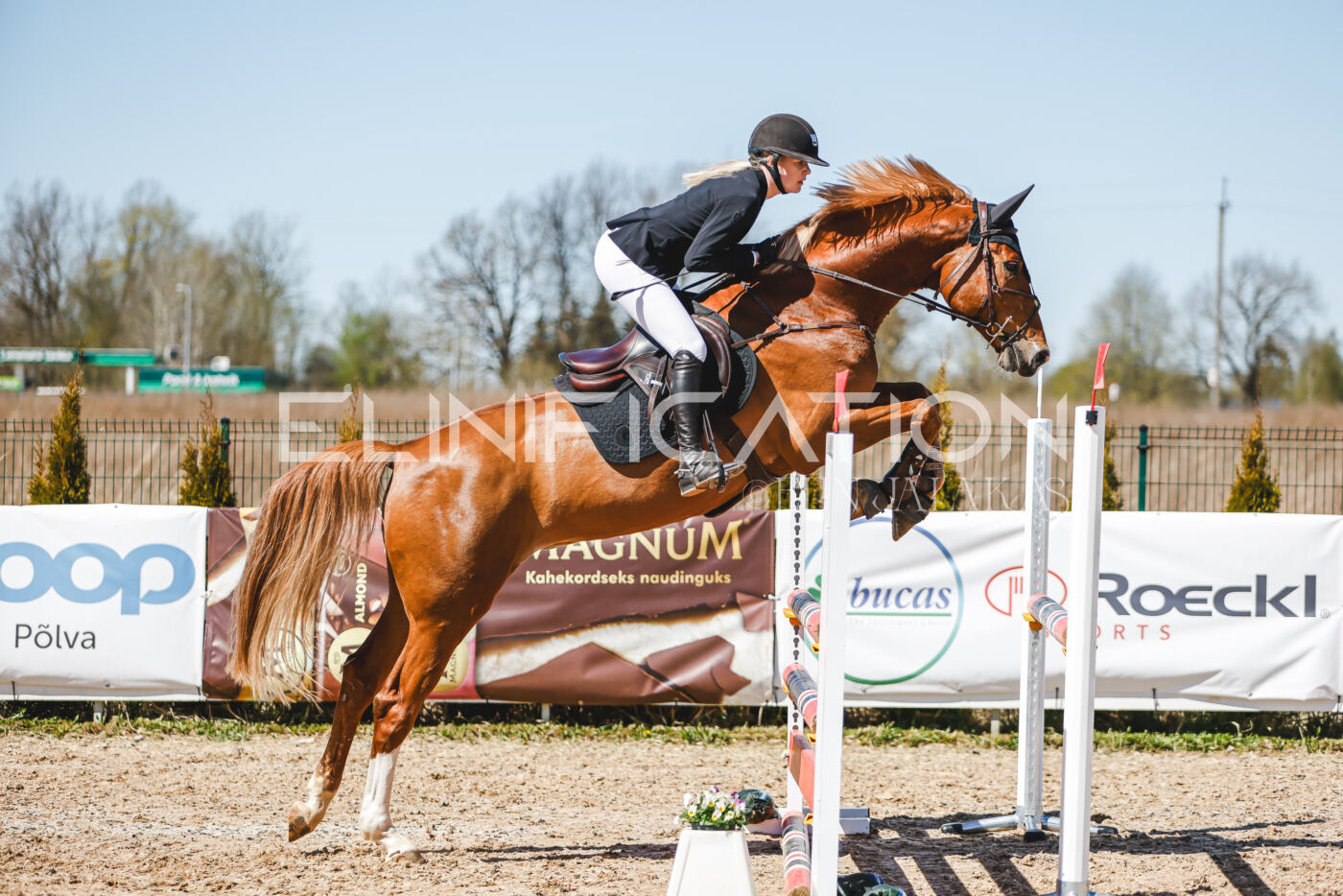 Gramina_Volber_2026_100_0341