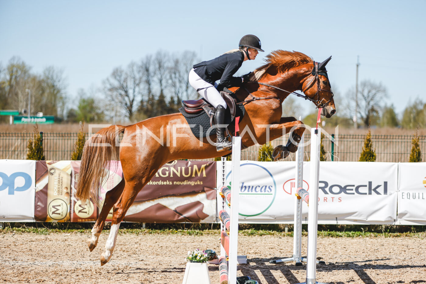 Gramina_Volber_2026_100_0342