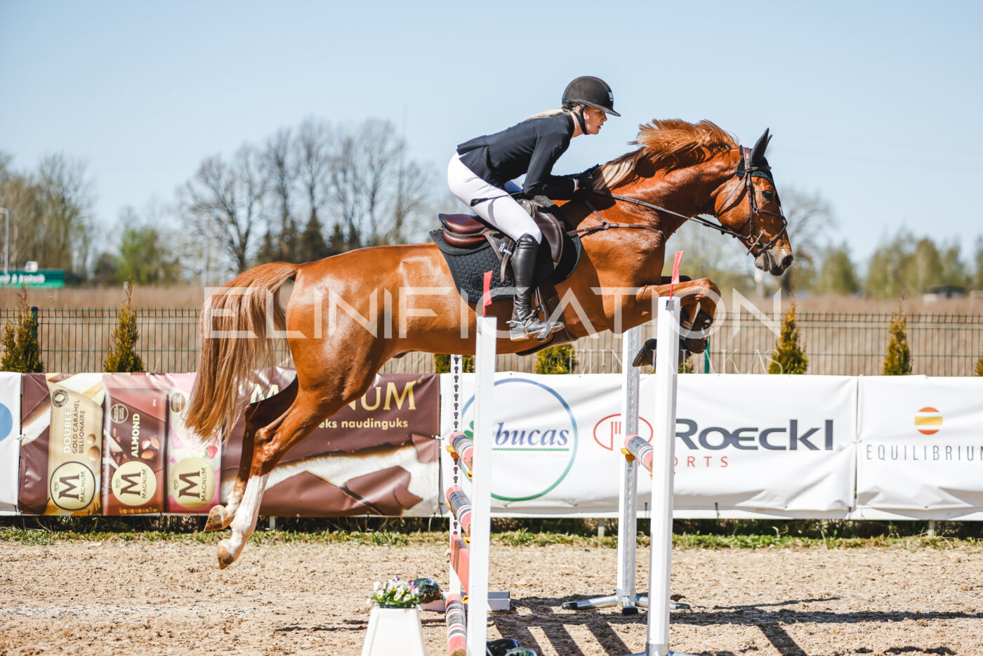 Gramina_Volber_2026_100_0343