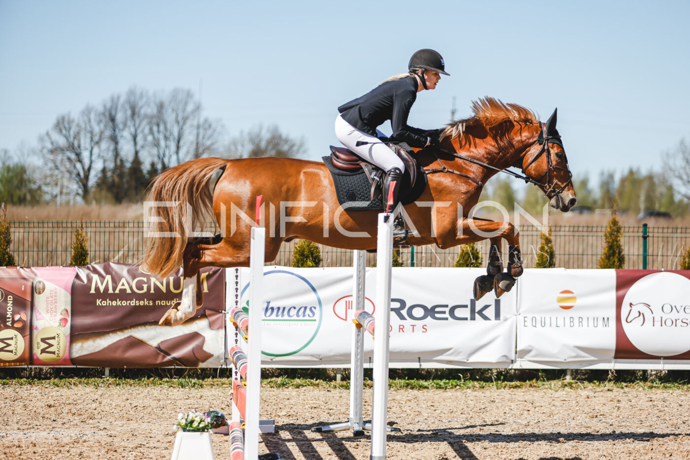Gramina_Volber_2026_100_0344
