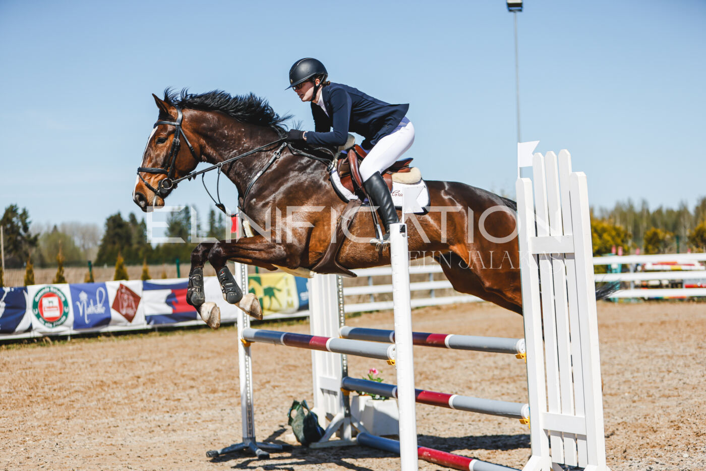 Gramina_Volber_2026_100_0362